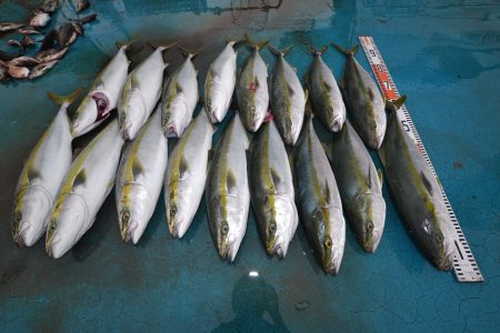 アジアマリンサービス 釣果