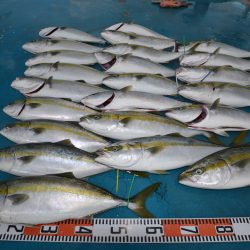 アジアマリンサービス 釣果