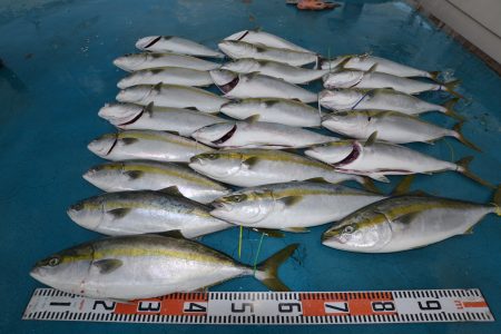 アジアマリンサービス 釣果