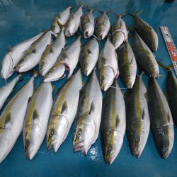 アジアマリンサービス 釣果