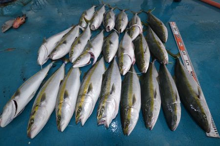 アジアマリンサービス 釣果