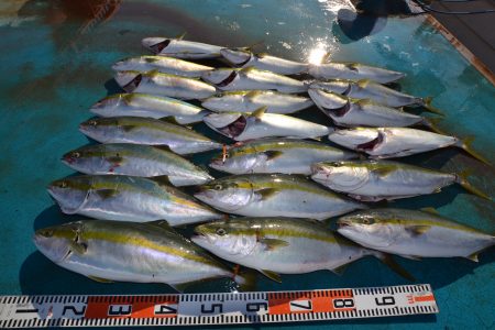 アジアマリンサービス 釣果