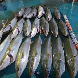 アジアマリンサービス 釣果