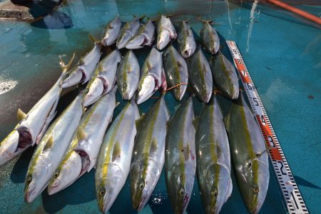 アジアマリンサービス 釣果