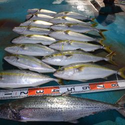 アジアマリンサービス 釣果