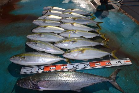 アジアマリンサービス 釣果