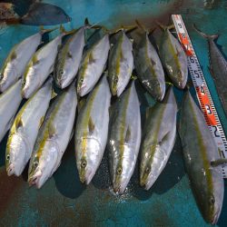 アジアマリンサービス 釣果