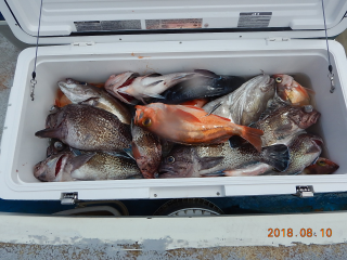 作十丸 釣果