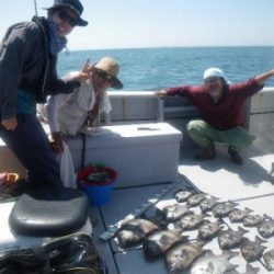 磯部釣船 直栄丸 釣果