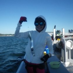 磯部釣船 直栄丸 釣果