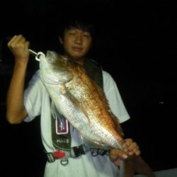 磯部釣船 直栄丸 釣果