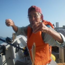 磯部釣船 直栄丸 釣果