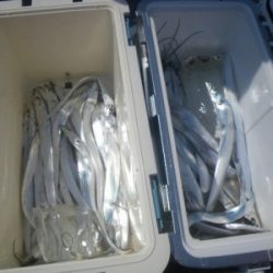 磯部釣船 直栄丸 釣果