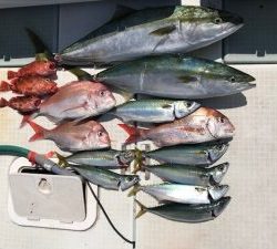 さぶろう丸 釣果