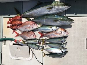 さぶろう丸 釣果