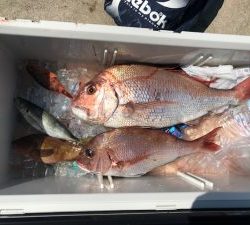 さぶろう丸 釣果