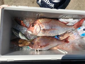 さぶろう丸 釣果