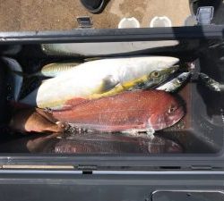 さぶろう丸 釣果