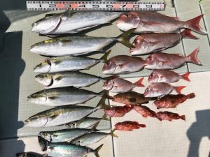 さぶろう丸 釣果