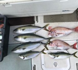 さぶろう丸 釣果