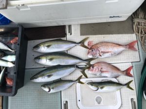 さぶろう丸 釣果