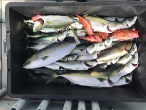 さぶろう丸 釣果