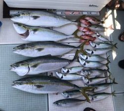 さぶろう丸 釣果