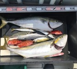 さぶろう丸 釣果