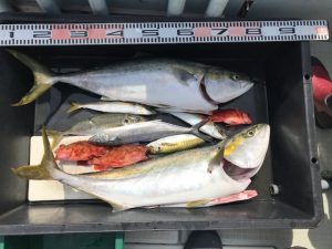 さぶろう丸 釣果