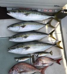 さぶろう丸 釣果