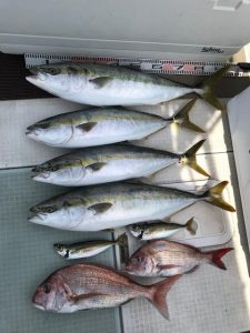 さぶろう丸 釣果