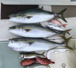 さぶろう丸 釣果