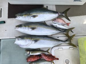 さぶろう丸 釣果