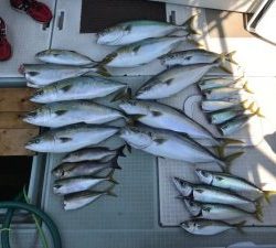 さぶろう丸 釣果