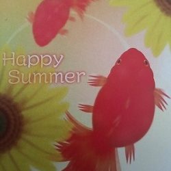 フィシングボートAir(エアー) 釣果