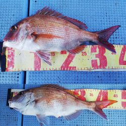 第二常豊丸 釣果