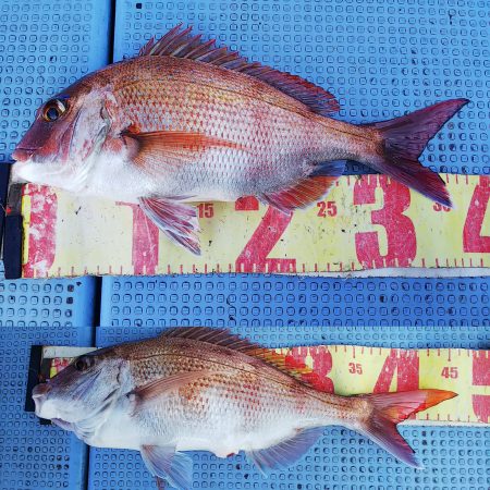 第二常豊丸 釣果