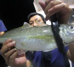 兼六丸 釣果