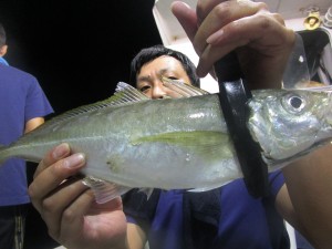 兼六丸 釣果