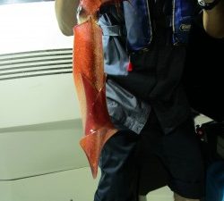 兼六丸 釣果