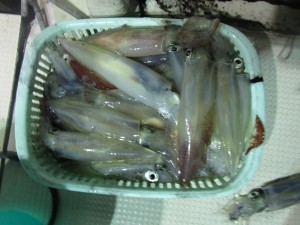 兼六丸 釣果
