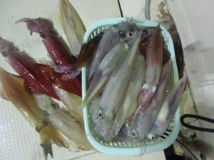 兼六丸 釣果