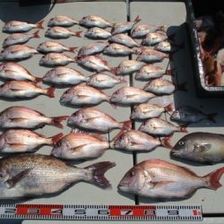 海人丸（うみんちゅまる） 釣果