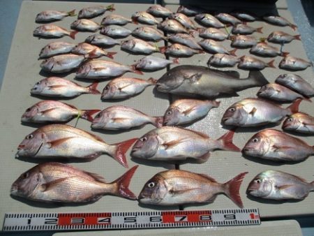 海人丸（うみんちゅまる） 釣果