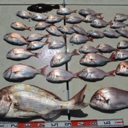 海人丸（うみんちゅまる） 釣果