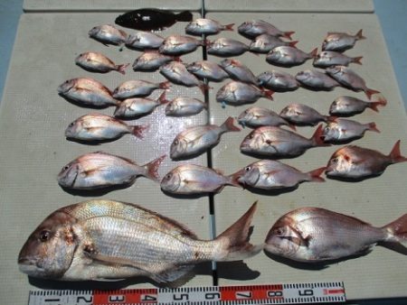 海人丸（うみんちゅまる） 釣果