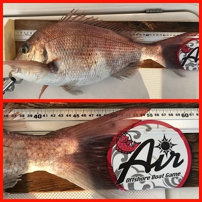 フィシングボートAir(エアー) 釣果