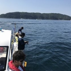 フィシングボートAir(エアー) 釣果