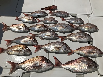 フィシングボートAir(エアー) 釣果