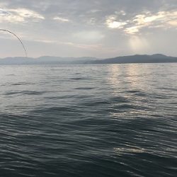 フィシングボートAir(エアー) 釣果